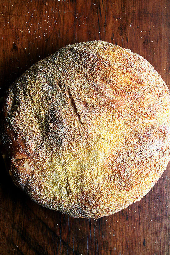 Mark Bittman-Jim Lahey No-Knead Bread, just baked
