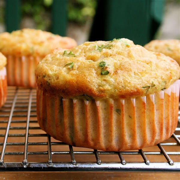 Round 2 Low Carb Cottage Cheese Muffins With Cheddar Scallions