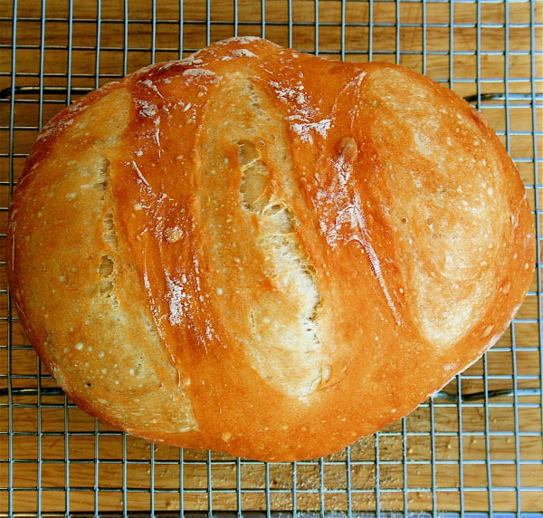 Preparing this artisan bread is so simple that I made bread on both Saturday and Sunday nights of this weekend, and I still have enough starter to prepare two more loaves this week. The starter keeps for at least two weeks in the refrigerator and the result of this simple recipe is satisfying and delicious. // alexandracooks.com