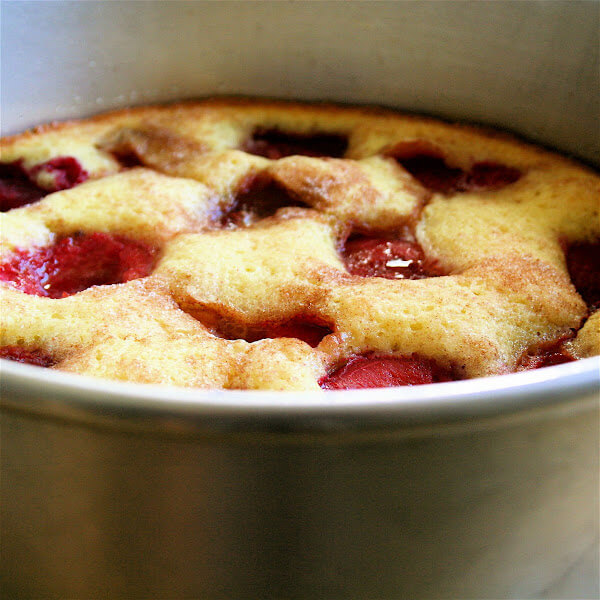 This open-faced plum cake takes only minutes to prepare; it's delectable; it's elegant; and it's versatile: Apricots, nectarines and peaches, it has been noted, can be used in place of the plums. // alexandracooks.com