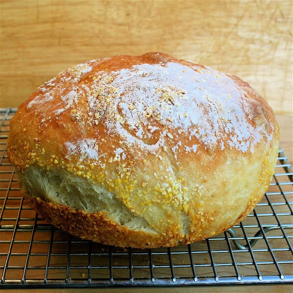 Dutch Oven Bread (No Knead) • Longbourn Farm