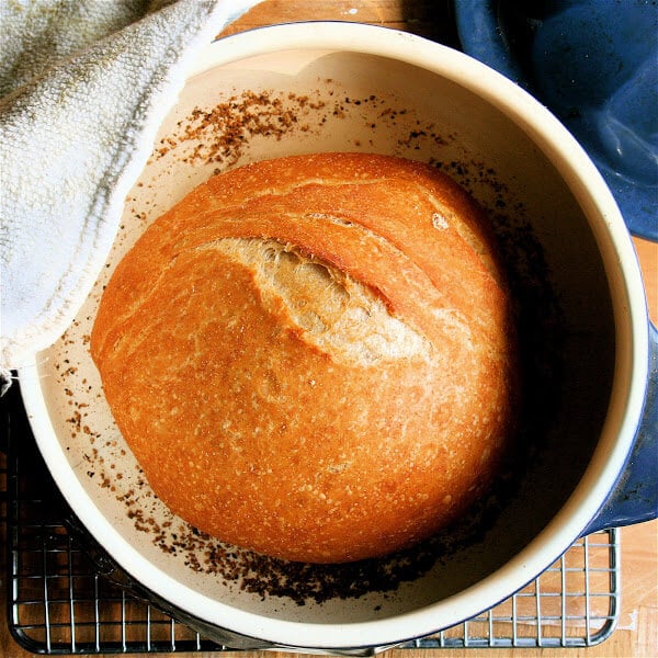 I thought I'd give a brief update on my Artisan Bread in Five Minutes a Day escapades. This batch is my third, and I experimented with using nearly 50-percent whole-wheat flour. The dough rose just as beautiful. // alexandracooks.com