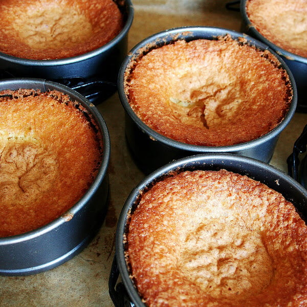 Just-baked orange and olive oil cakes. 
