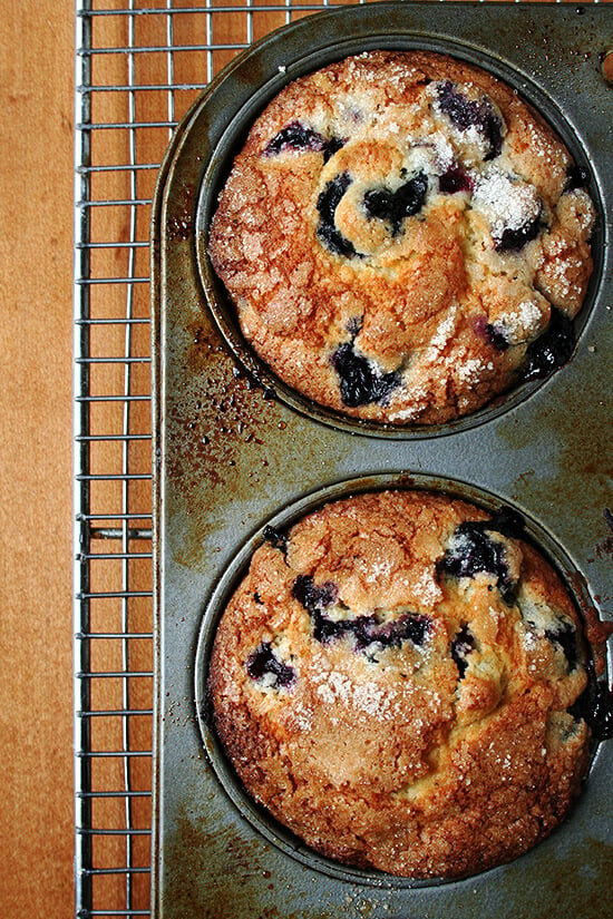 An overhead shot of lemon-blueberry muffins in their tin. 