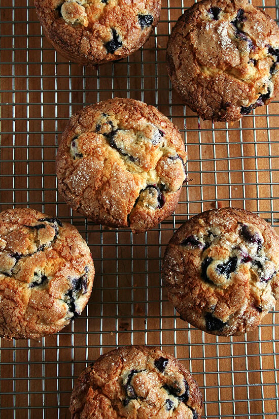Lemon blueberry muffins on a cooling rack.