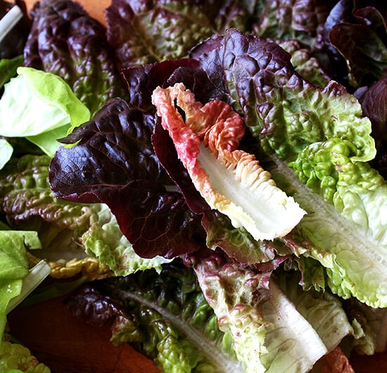 Red Lettuce