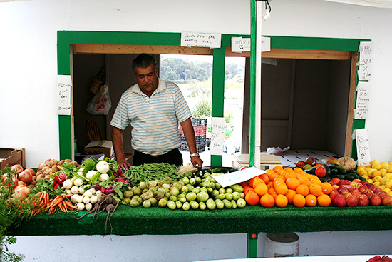 Valdivia Farmstand