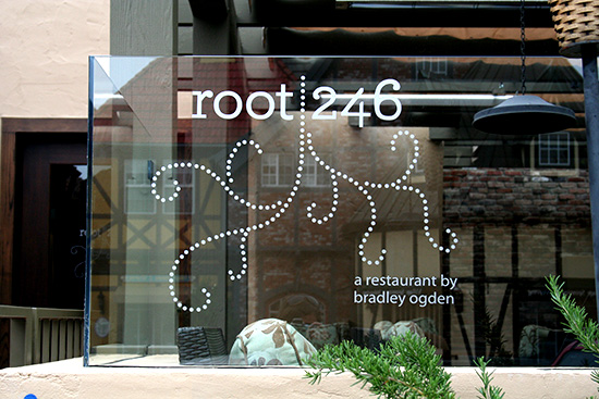 root 246