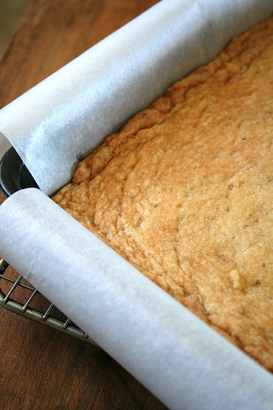 Just-baked rosemary shortbread still in pan. 