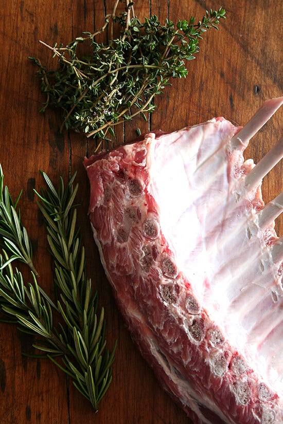 Rosemary & Thyme aside a rack of lamb. 