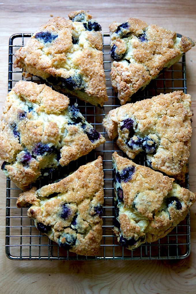 Blueberry scones on a rack.