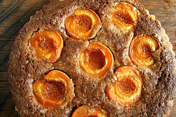 apricot and almond tart