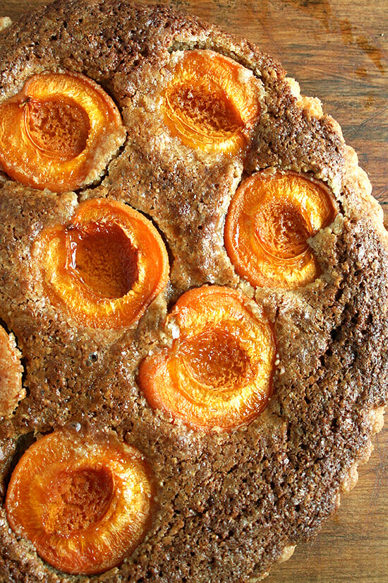 Fresh apricots and a frangipane filling make this apricot and almond tart a lovely summer picnic treat. // alexandracooks.com