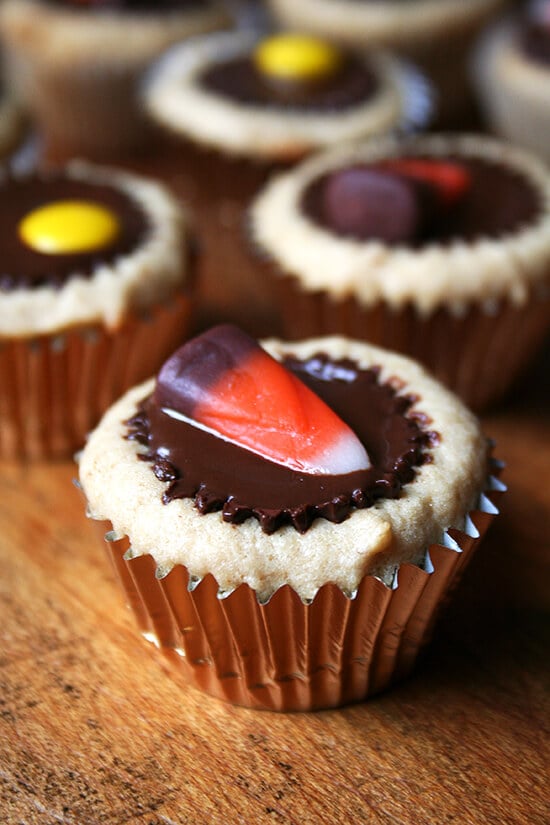 candy corn topped mini cupcake