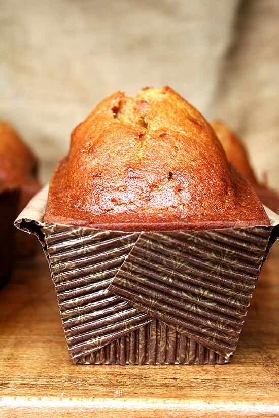 A mini loaf of pumpkin bread baked in a disposable loaf pan. 