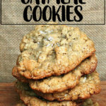 A stack of salted oatmeal cookies.