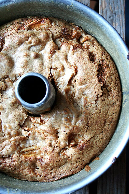 Teddie's apple cake, freshly baked, still in tube pan. 