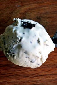 Mint Chocolate Chip Ice Cream