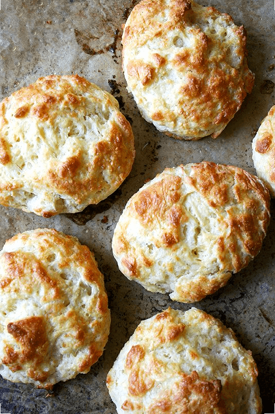 Tender and flaky, these buttermilk cheddar biscuits are the perfect vessel for housing slices of ham or turkey or roast beef, handfuls of arugula, and a slathering of mustard sauce, a must-have recipe if you're making ham this holiday season. // alexandracooks.com