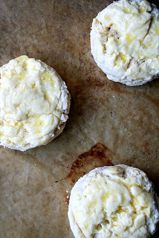 biscuits, cut, with eggwash