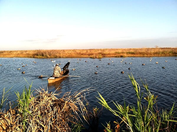 A boat with a guide and a dog in the water surrounded by duck decoys. 