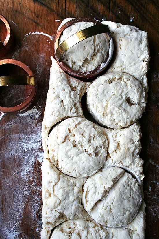 dough and biscuit cutters