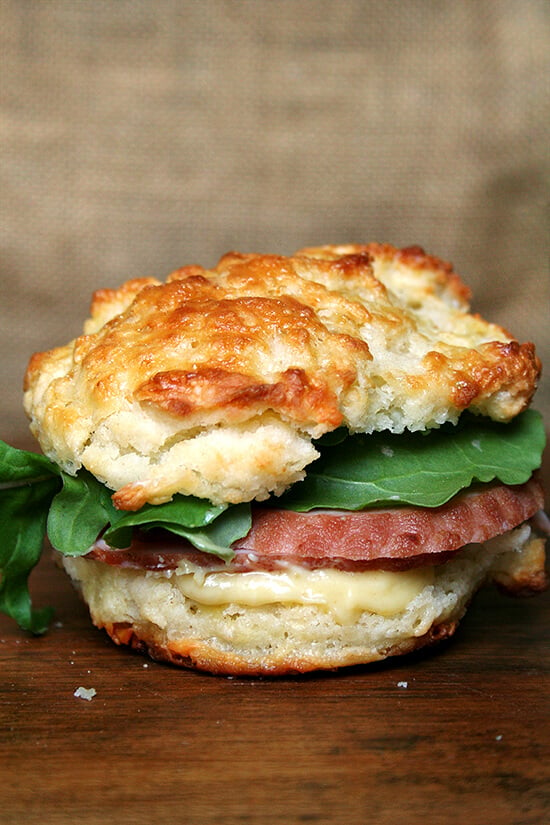 Tender and flaky, these buttermilk cheddar biscuits are the perfect vessel for housing slices of ham or turkey or roast beef, handfuls of arugula, and a slathering of mustard sauce, a must-have recipe if you're making ham this holiday season. // alexandracooks.com