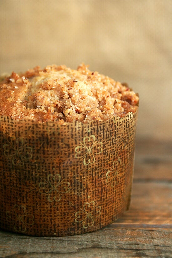 A coffeecake muffin in a decorative paper liner. 