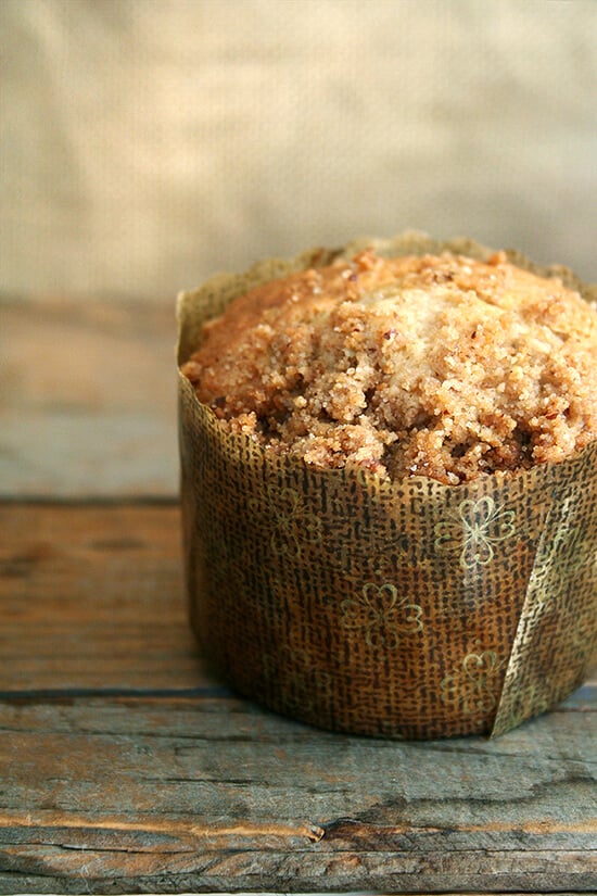 A coffeecake muffin in a decorative paper liner. 