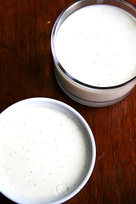 This Claudia Fleming panna cotta recipe comes from Saveur.com, and frankly I can't find a thing wrong with it. Creamy, beautiful and delicious, it's a perfect medium for showcasing these organic, Fair Trade, IndriVanilla beans. // alexandracooks.com