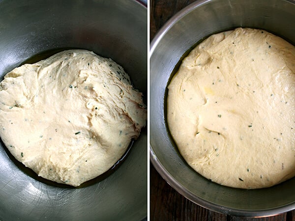 dough, just mixed (left) and risen (right)