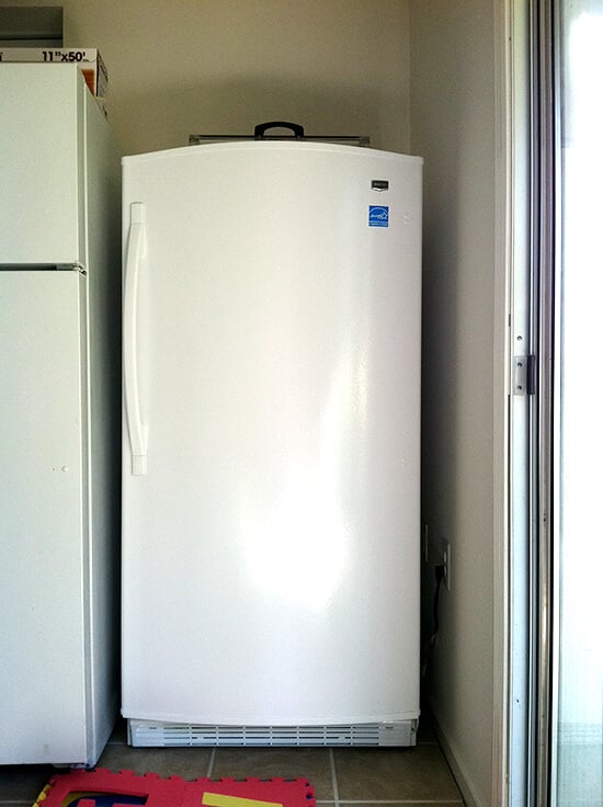 free standing freezer