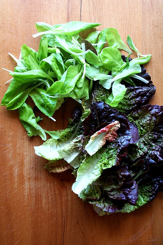 lettuce from Morning Song Farm CSA