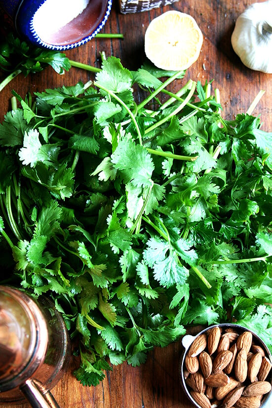 Ingredients for pesto sauce on a board: cilantro, olive oil, almonds, lemon, garlic, salt, parmesan.