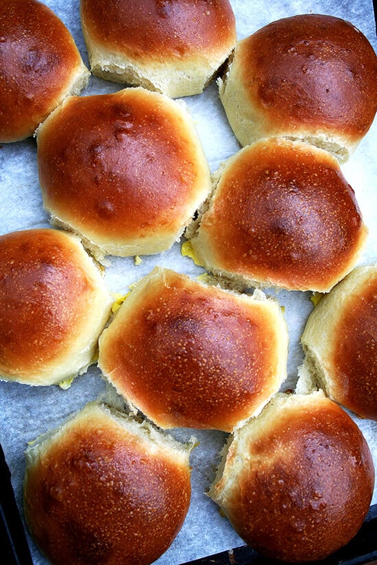 Before making the recipe for these hamburger buns, I had tried countless recipes for brioche, none of which produced the texture I had hoped for, all of which made me cringe at every step of the process — the amount of eggs and butter I wasted on unimpressive loaves is sinful. This recipe is it. Search no further. Yum. // alexandracooks.com