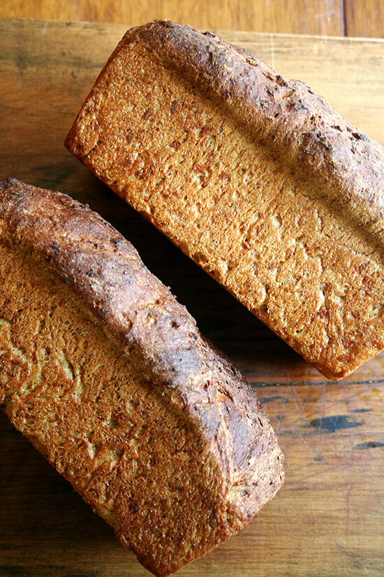 baked loaves