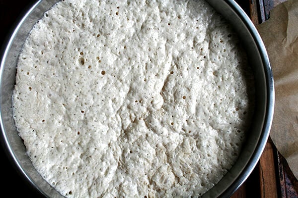 Lahey no-knead pizza dough, risen