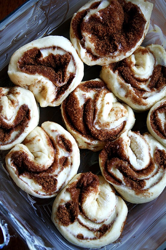 A 9-inch pan filled with cut cinnamon rolls, ready to rise.