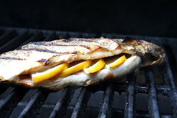 trout, grilling