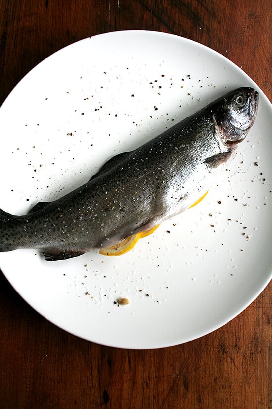 whole trout