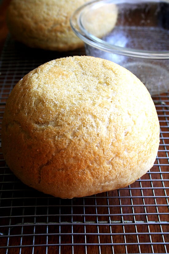 Freshly baked peasant bread turned onto cooling rack