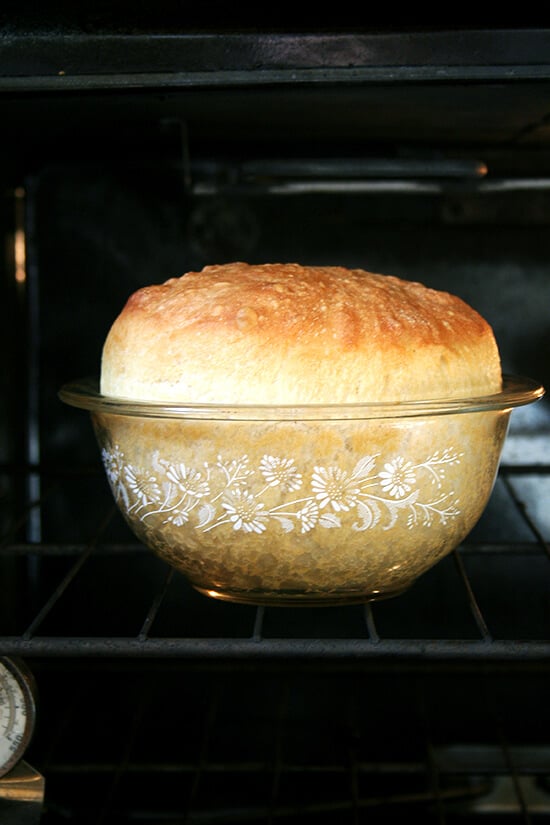 Dutch Oven Bread {No Knead!} - The Seasoned Mom