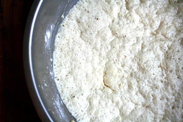 Overhead view of dough, risen