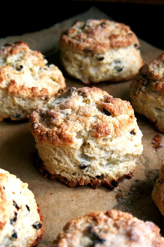 Orange and Cream Mini Scones - Vintage Kitchen Notes