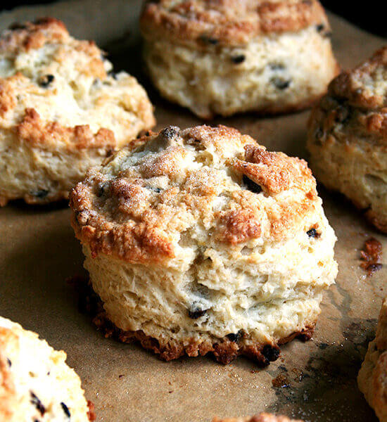 freshly baked currant scones