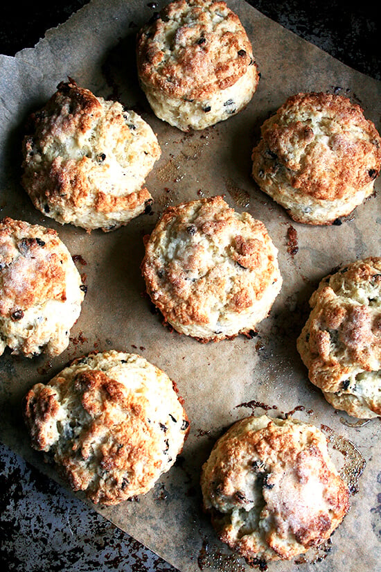 Tartine's currant scones recipe is the one I use year-round, studded with berries in the summer and currants in the winter. The recipe yields a huge batch, too, which is nice when planning for visitors, so go ahead and freeze the unbaked scones and bake them off on Thanksgiving morning. Tartine's lemon cream is as luscious as promised, and the perfect topper for freshly baked scone. // alexandracooks.com