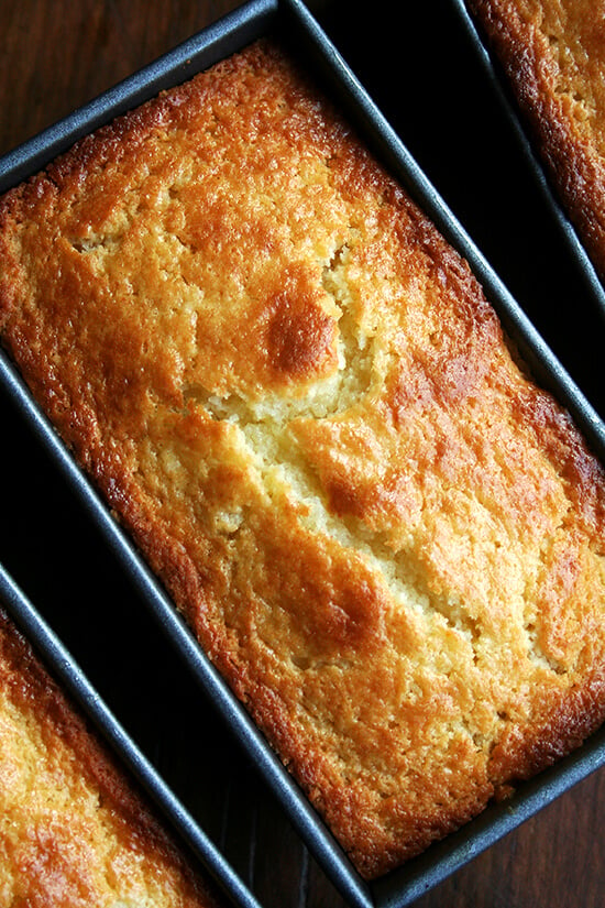 orange-ricotta loaves, just baked