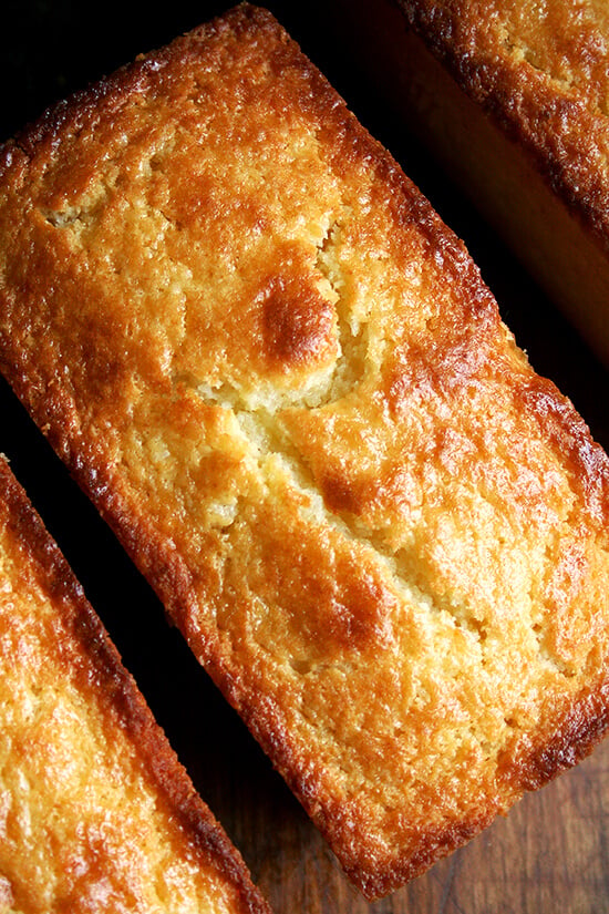 orange-ricotta loaves