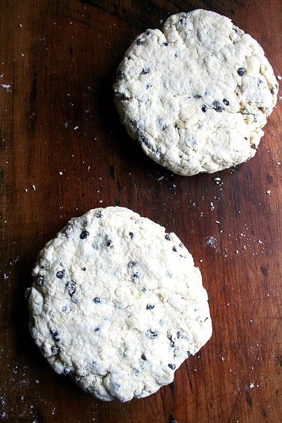 scone rounds, ready to be cut