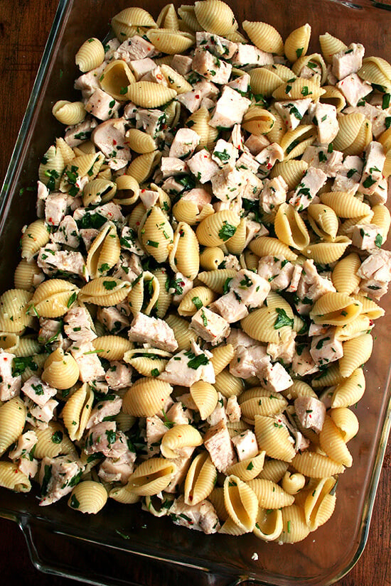 A 9x13-inch pan filled with the baked pasta with chicken and white wine.